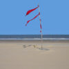 Rode vlag