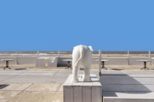 Olifant